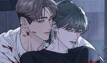 10955_cover