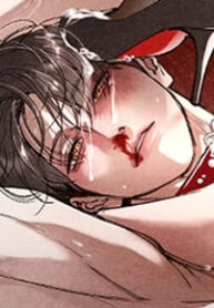 15403_cover