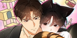 고양이 테라피