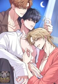 cover_21046