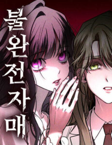 불완전 자매