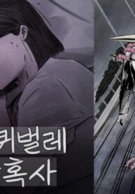 cover_21436