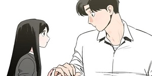 풀 보이