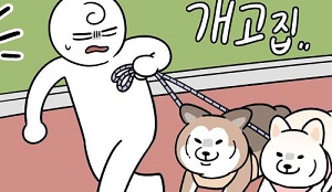 노곤하개 쇼츠
