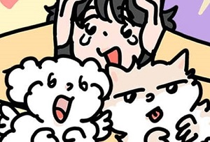 천사개와 악마캣