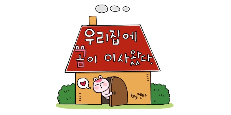 우리집에 곰이 이사왔다